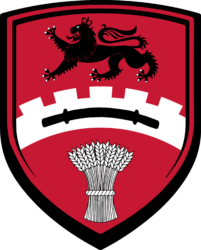 Coat of arms of Hitchin featuring a black lion at the top and a sheaf of wheat at the bottom on a red background.